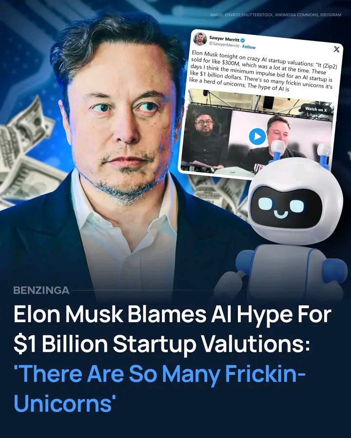 Elon Musk says today's artificial-intelligence gold rush has inflated startup prices to eye-watering.