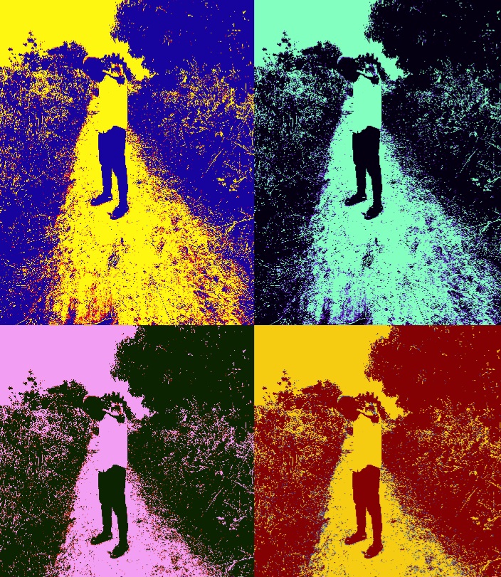 Cover photo