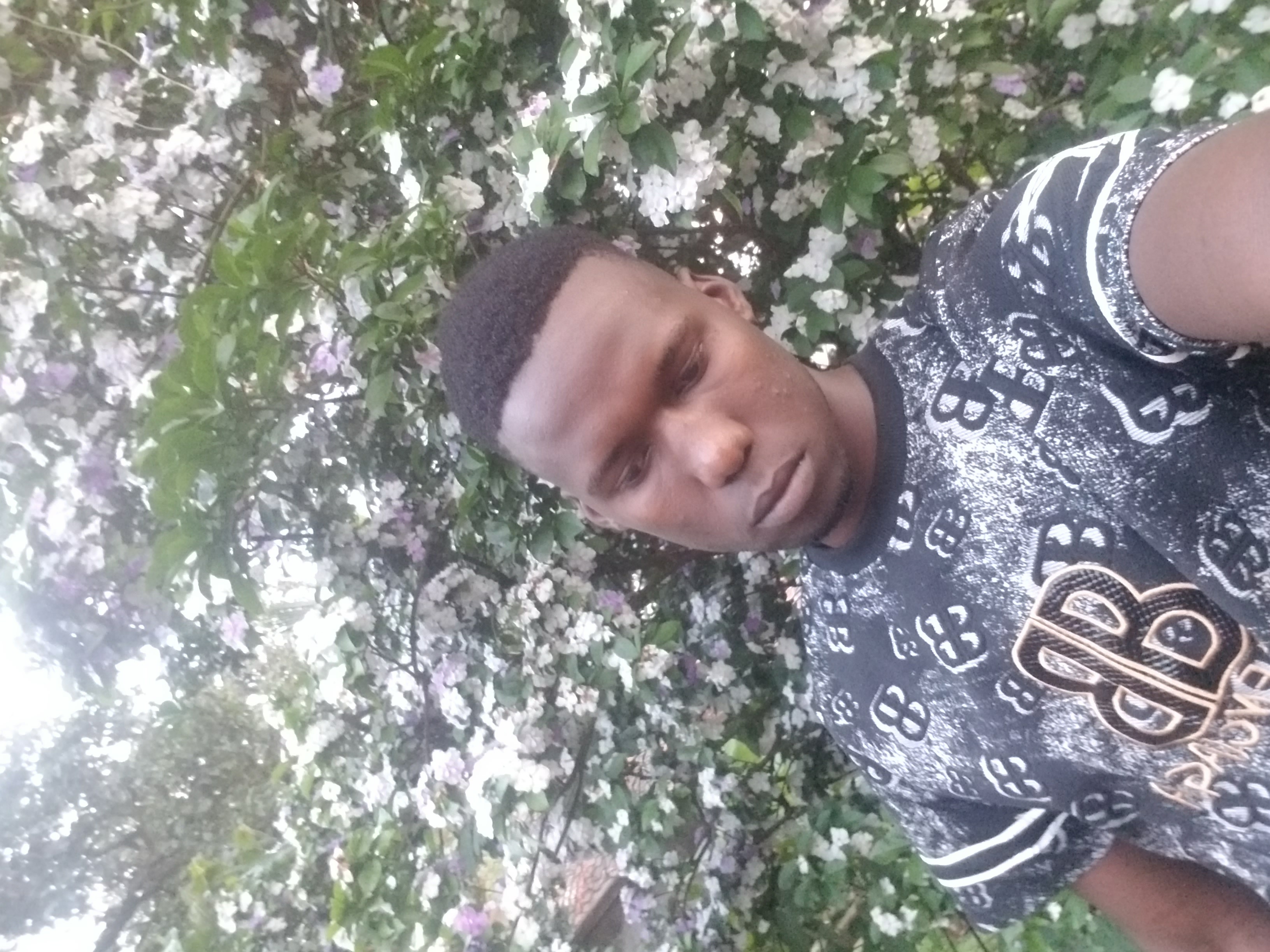 Cover photo