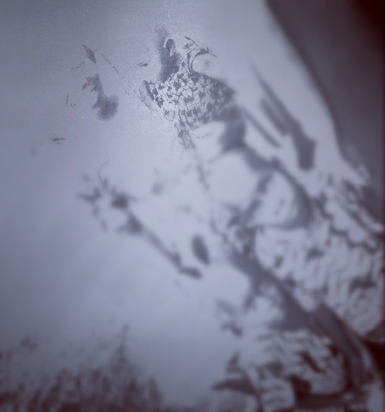 Cover photo