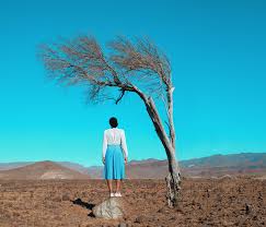 Cover photo